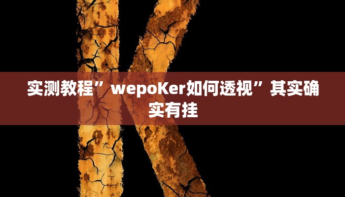 实测教程”趣玩贵州麻将辅助开挂”其实确实有挂