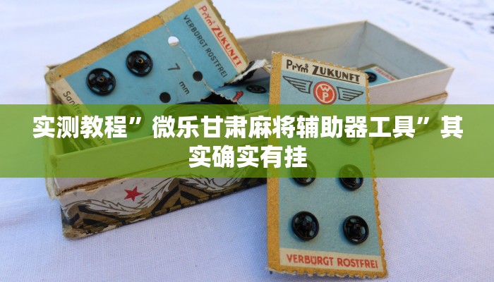 实测教程”微乐甘肃麻将辅助器工具”其实确实有挂