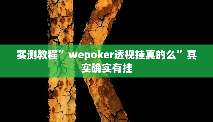 实测教程”wepoker透视挂真的么”其实确实有挂
