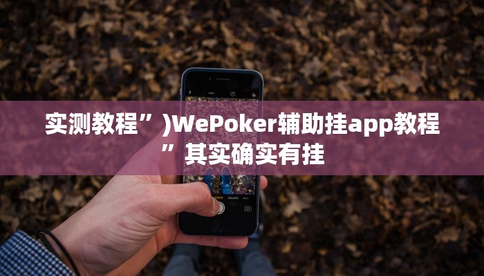 实测教程”)WePoker辅助挂app教程”其实确实有挂