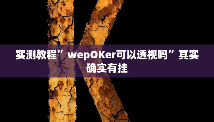 实测教程”wepOKer可以透视吗”其实确实有挂