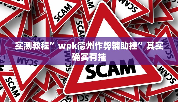 实测教程”wpk德州作弊辅助挂”其实确实有挂