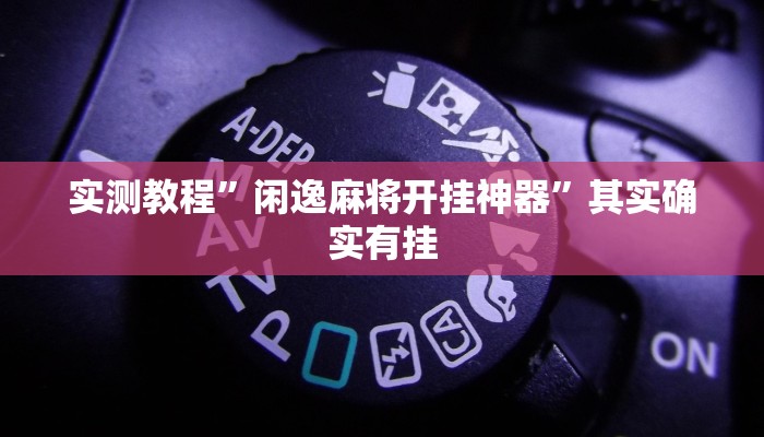 实测教程”闲逸麻将开挂神器”其实确实有挂