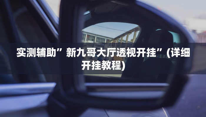 实测辅助”新九哥大厅透视开挂”(详细开挂教程)