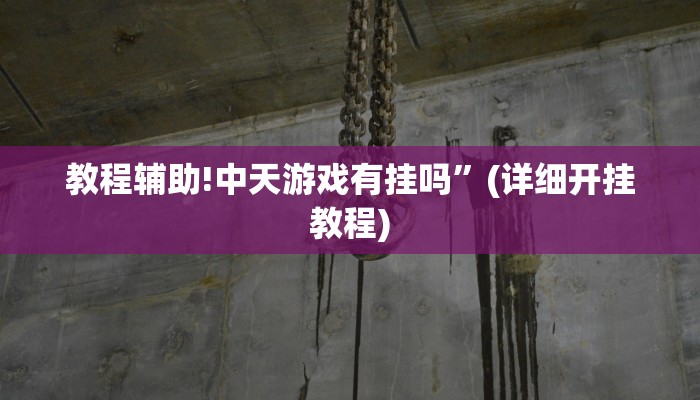 教程辅助!中天游戏有挂吗”(详细开挂教程)