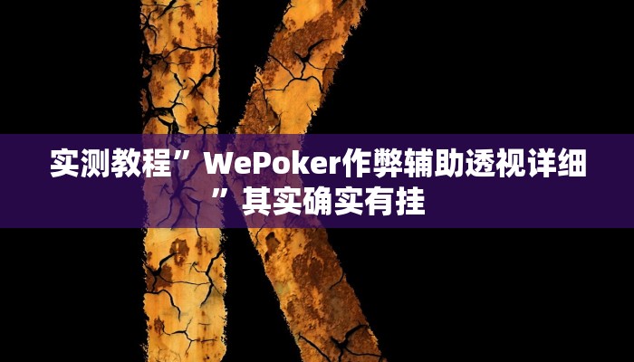 实测教程”WePoker作弊辅助透视详细”其实确实有挂