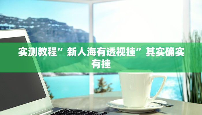 实测教程”新人海有透视挂”其实确实有挂