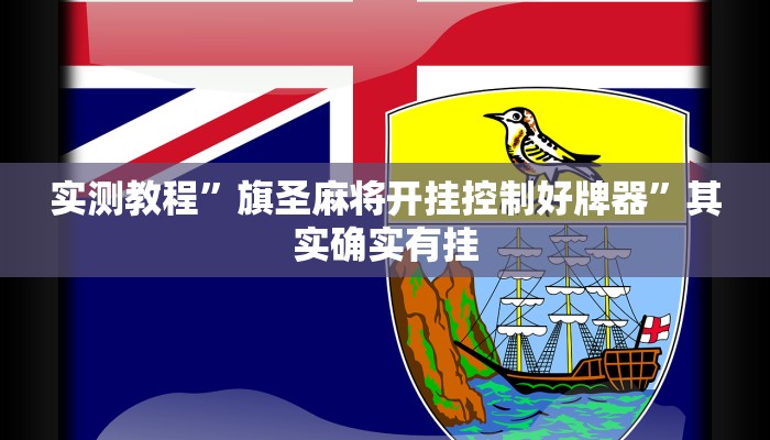 实测教程”旗圣麻将开挂控制好牌器”其实确实有挂