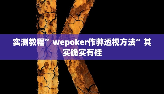 实测教程”wepoker作弊透视方法”其实确实有挂