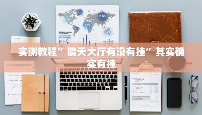 实测教程”hhpoker可以调胜率吗”其实确实有挂