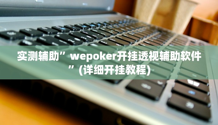 实测辅助”wepoker开挂透视辅助软件”(详细开挂教程)