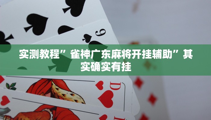 实测教程”雀神广东麻将开挂辅助”其实确实有挂