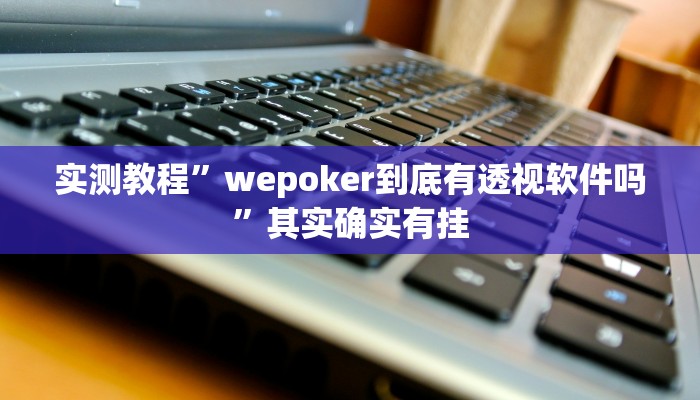 实测教程”wepoker到底有透视软件吗”其实确实有挂