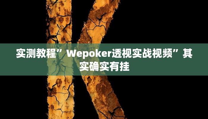 实测教程”Wepoker透视实战视频”其实确实有挂
