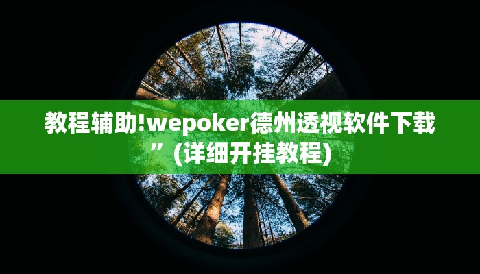 教程辅助!wepoker德州透视软件下载”(详细开挂教程)