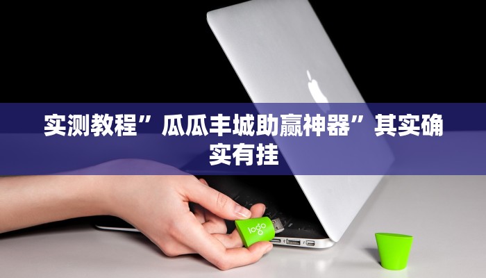 实测教程”瓜瓜丰城助赢神器”其实确实有挂