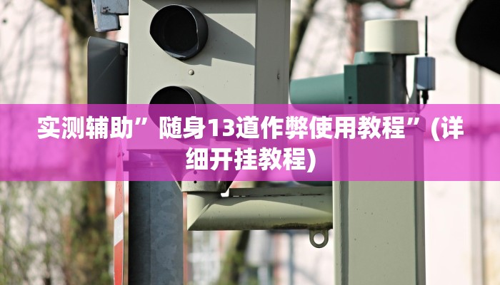 实测辅助”随身13道作弊使用教程”(详细开挂教程)