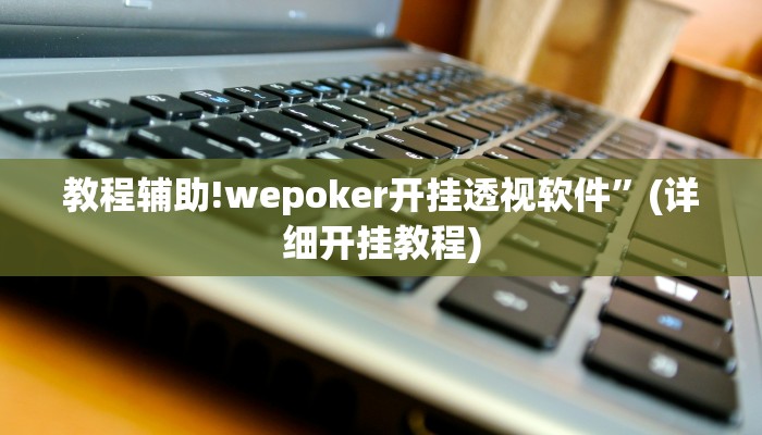 教程辅助!wepoker开挂透视软件”(详细开挂教程)