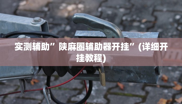 实测辅助”陕麻圈辅助器开挂”(详细开挂教程)