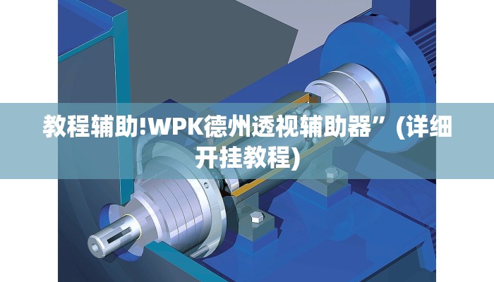 教程辅助!WPK德州透视辅助器”(详细开挂教程)