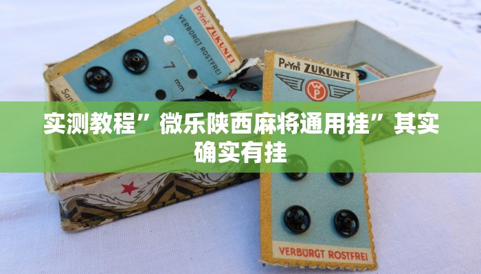 实测教程”微乐陕西麻将通用挂”其实确实有挂