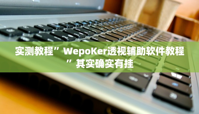 实测教程”WepoKer透视辅助软件教程”其实确实有挂