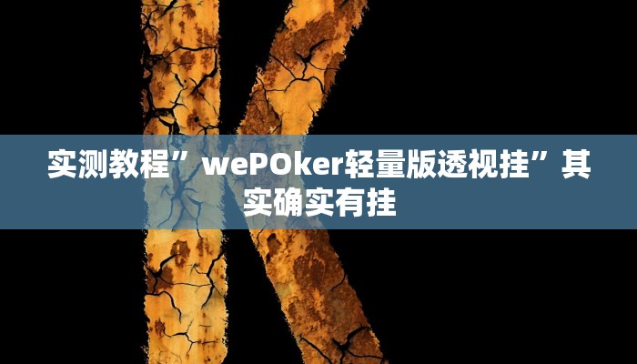 实测教程”wePOker轻量版透视挂”其实确实有挂