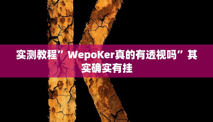 实测教程”WepoKer真的有透视吗”其实确实有挂