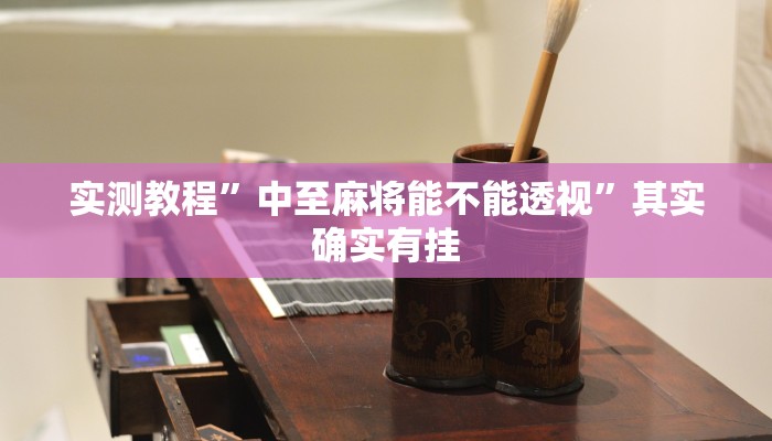 实测教程”中至麻将能不能透视”其实确实有挂