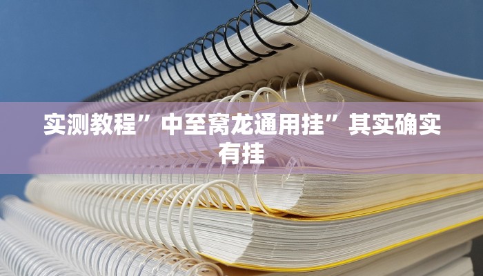 实测教程”中至窝龙通用挂”其实确实有挂