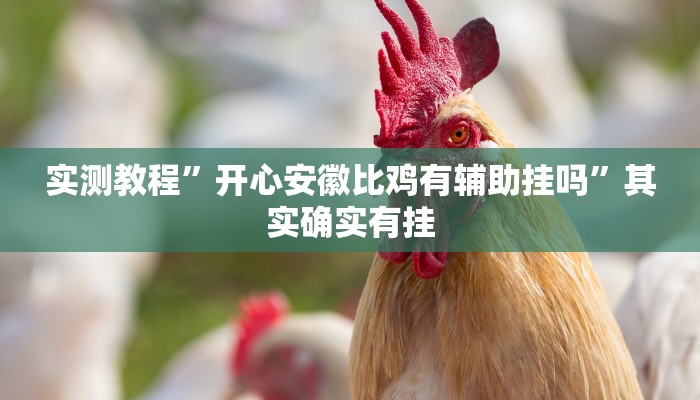 实测教程”开心安徽比鸡有辅助挂吗”其实确实有挂