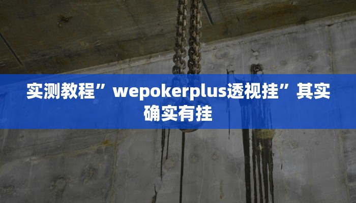 实测教程”wepokerplus透视挂”其实确实有挂