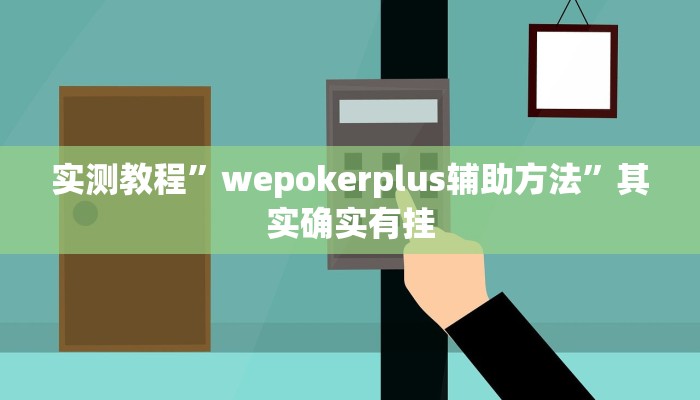 实测教程”wepokerplus辅助方法”其实确实有挂