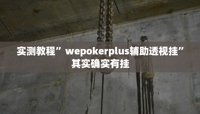 实测教程”wepokerplus辅助透视挂”其实确实有挂
