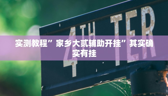 实测教程”家乡大贰辅助开挂”其实确实有挂