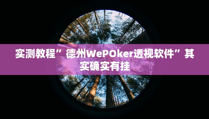 实测教程”德州WePOker透视软件”其实确实有挂
