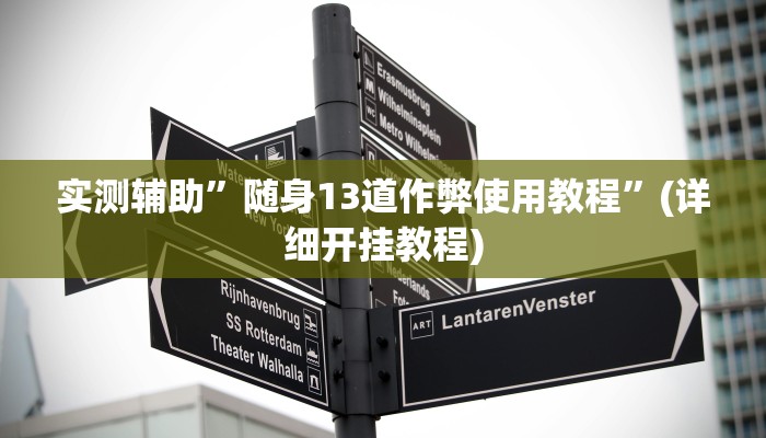 实测辅助”随身13道作弊使用教程”(详细开挂教程)