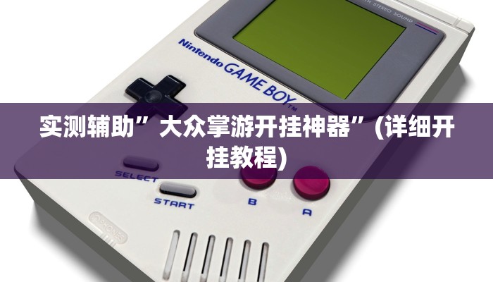 实测辅助”大众掌游开挂神器”(详细开挂教程)