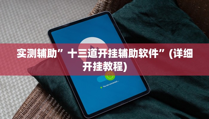 实测辅助”十三道开挂辅助软件”(详细开挂教程)