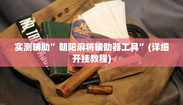 实测辅助”朝阳麻将辅助器工具”(详细开挂教程)