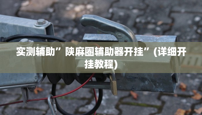 实测辅助”陕麻圈辅助器开挂”(详细开挂教程)