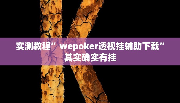 实测教程”wepoker透视挂辅助下载”其实确实有挂