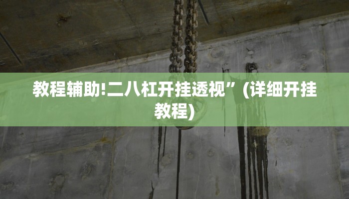 教程辅助!二八杠开挂透视”(详细开挂教程)
