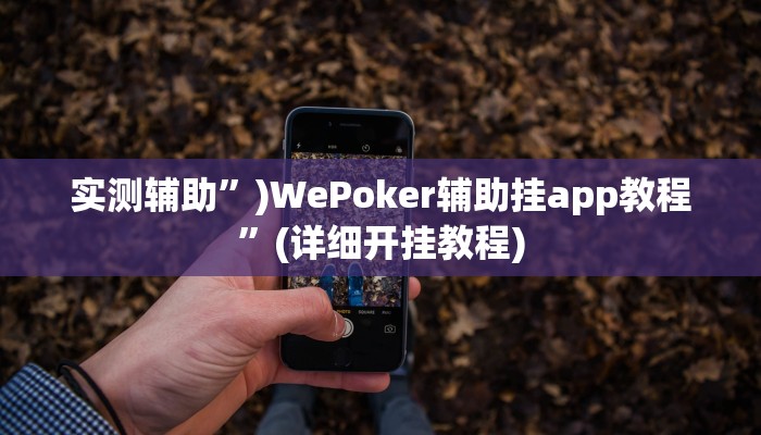 实测辅助”)WePoker辅助挂app教程”(详细开挂教程)