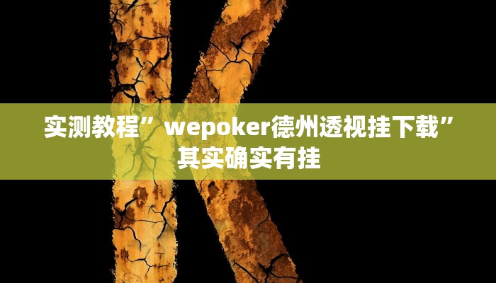 实测教程”wepoker德州透视挂下载”其实确实有挂