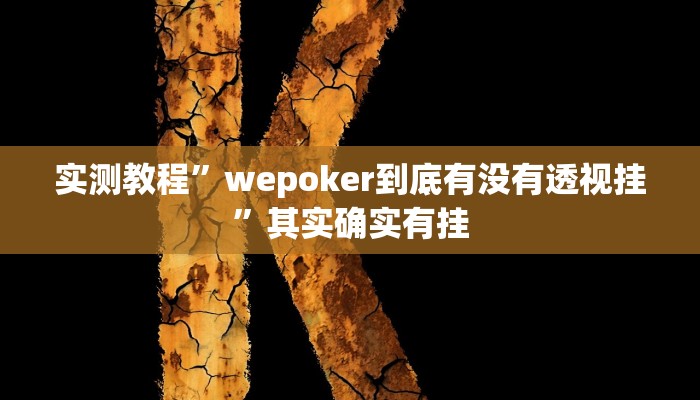 实测教程”wepoker到底有没有透视挂”其实确实有挂