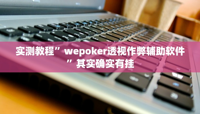 实测教程”wepoker透视作弊辅助软件”其实确实有挂