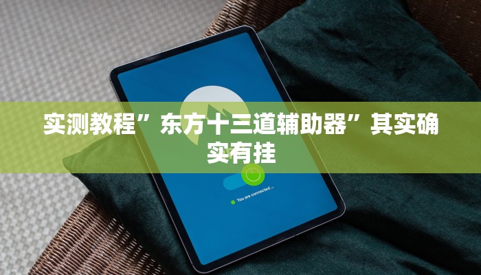 实测教程”东方十三道辅助器”其实确实有挂