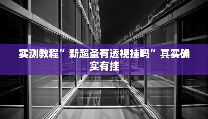 实测教程”新超圣有透视挂吗”其实确实有挂