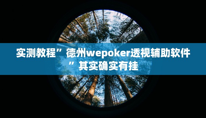 实测教程”德州wepoker透视辅助软件”其实确实有挂